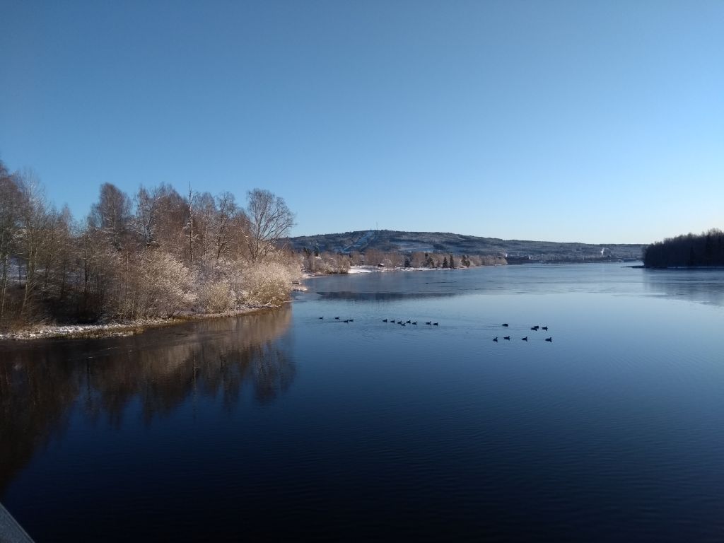 Värmullen hösten 2019 Foto Liisa Larsson